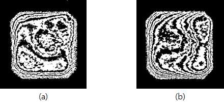 Change of WB-PBGA moire pattern by thermal load at g=33.33 μm, α=63.4°, β=0°, Γ=4.17 μm/fringe (a) 19°C, (b) 100 °C