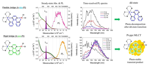 Ir과 Pt를 결합한 bimetallic 광촉매 시스템의 흡수와 시간-분해 발광 스펙트럼. 이 실험에서는 Ir과 다리 분자 사이의 전이를 선택적으로 들뜨게하기 위해서 530 nm 펄스(보라색 Gaussian)를 사용하였다. dpp와 ppz 다리 분자의 특성에 따라 시간-분해 발광 스펙트럼의 모양이 완전히 다르며, Ir-dpp-Pt의 경우 매우 빠른 소광 후에 광분해 반응 과정을 보인다