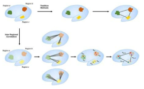 연구 팀에서 제안한 지역 간 연관성 (inter-regional correlation analysis) 분석