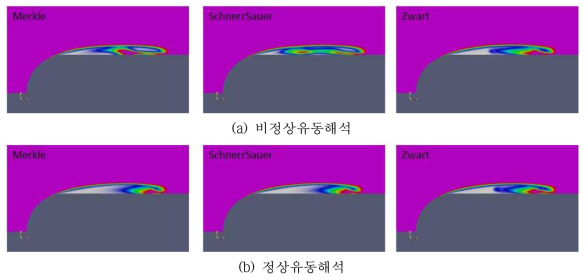 캐비테이션 수 0.3에서 캐비테이션의 형상