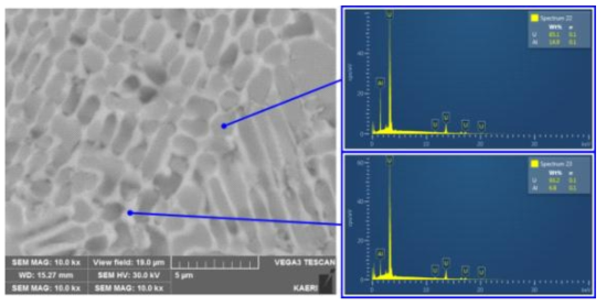 U-10Al 원심분무 분말의 EDS 조성분석 결과