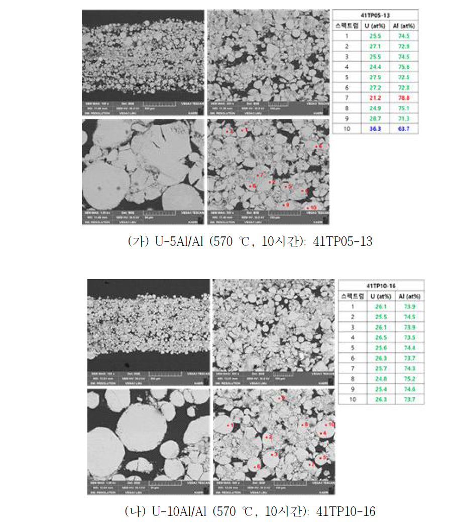 열처리 조건(5)로 제조 된 4.1 gU/cm3 고밀도 분산표적 미세조직분석 (2)