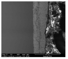 UNIST 설계 제작된 AFA steel의 납-비스무스 100시간 노출 후 주사전자 현미경 사진