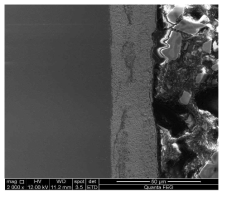16 Cr을 함유한 AFSA steel의 납-비스무스 100시간 노출 후 주사전자 현미경 사진