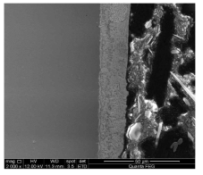 18 Cr을 함유한 AFSA steel의 납-비스무스 100시간 노출 후 주사전자 현미경 사진