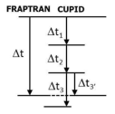 CUPID-FRAPTRAN 유체 연계 시간간격 조절