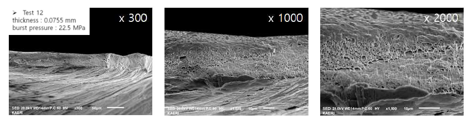 SEM images obsercation (test 12)