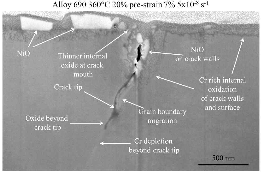 Cross-sectional image of crack tip of Alloy 690