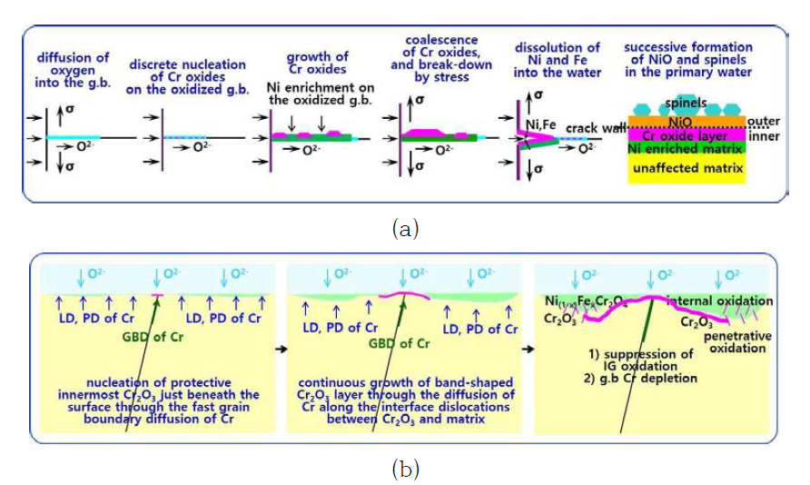 Schematic drawings showing (a) IG oxidation and crack initiation in Alloy 600 and (b) process of innermost Cr2O3 layer formation in Alloy 690 at a hydrogen concentration of 30 cc H2/kg H2O