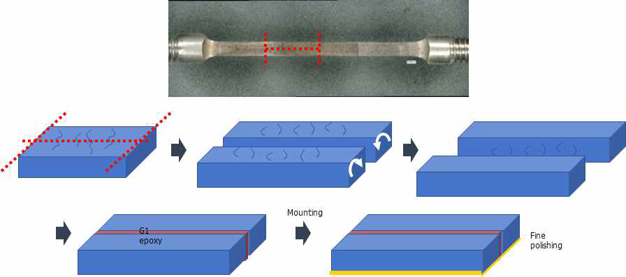 Sample preparation for observation of the cross-sectional area of the proton-irradiated specimens