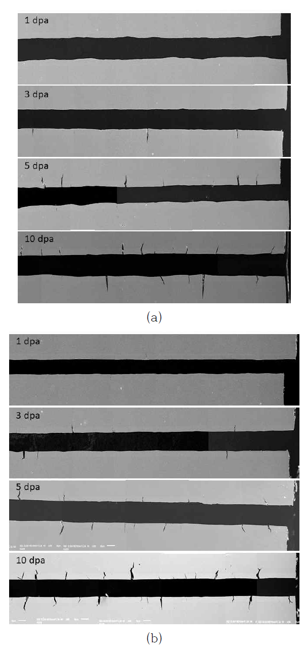 SEM observation of the cross-sectional ares of the proton-irradiated specimens (a) 25 cc/kg·H2O, (b) 50 cc/kg·H2O