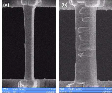 In-situ SEM tensile testing specimens (a) width 2 um, (b) width 4 um