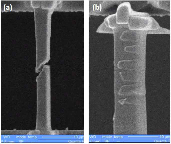 In-situ SEM tensile testing results