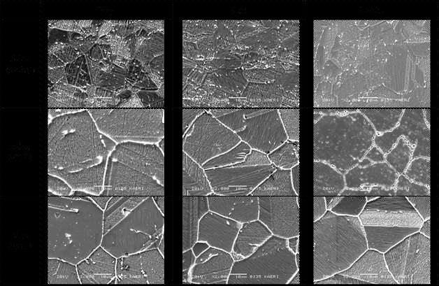 Images obtained using scanning electron microscopy for steam generator tubing materials