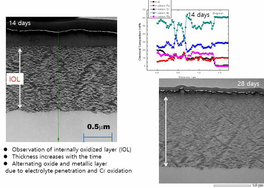 TEM image for cross section of plate Alloy 690 specimen immersed in 0.1M NaOH containing PbO of 1000 ppm at 315 °C after (a) 14 days and (b) 28 days