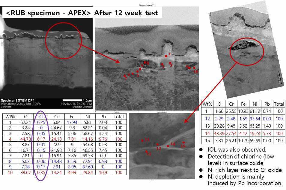 TEM image for cross section of APEX area of RUB Alloy 690 specimen immersed in leaded solution containing NaCl of pH(T) 9.5 at 310 °C for 12 weeks