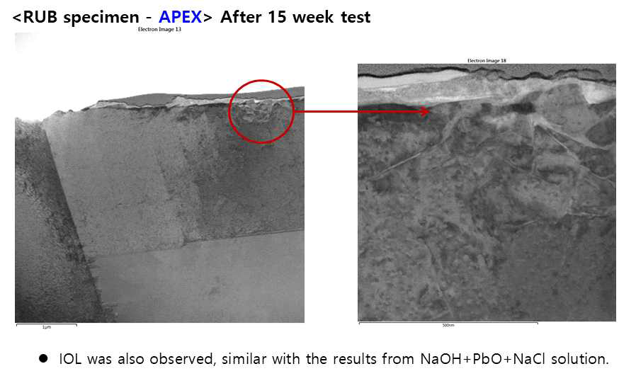 TEM image for cross section of APEX area of RUB Alloy 690 specimen immersed in leaded solution containing Na2SO4 of pH(T) 9.5 at 310 °C for 15 weeks