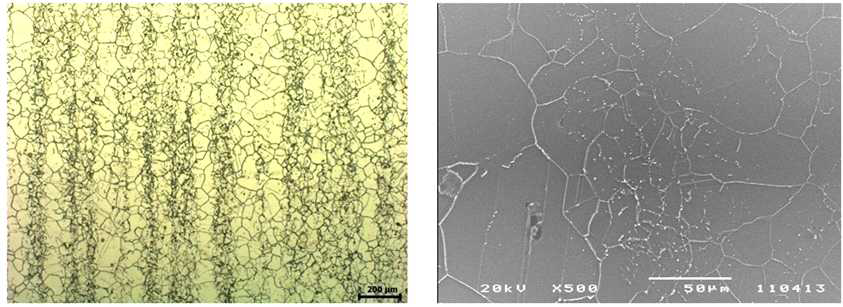 Microstructure of Alloy 690 with carbide banding
