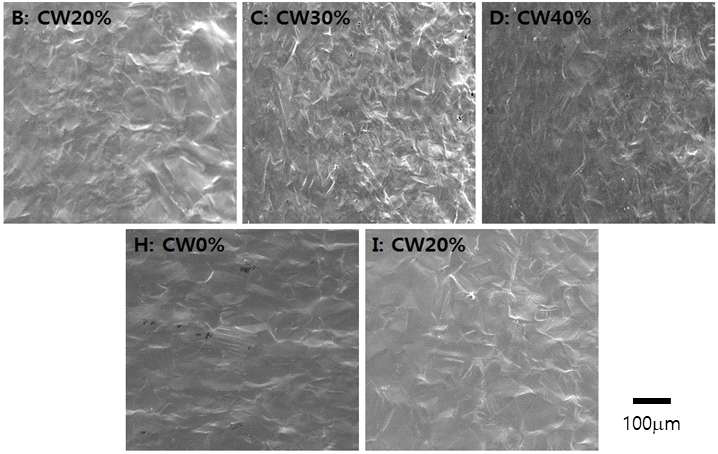 images of specimen surface after SSRT test in air at 350℃