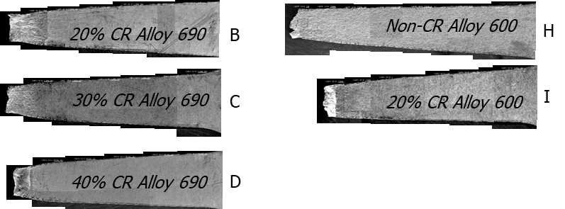 Optical image of cracks on specimen surface after SSRT test in primary water environment