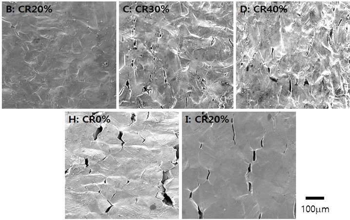 SEM images of specimen surface after SSRT test in the primary water at 360℃