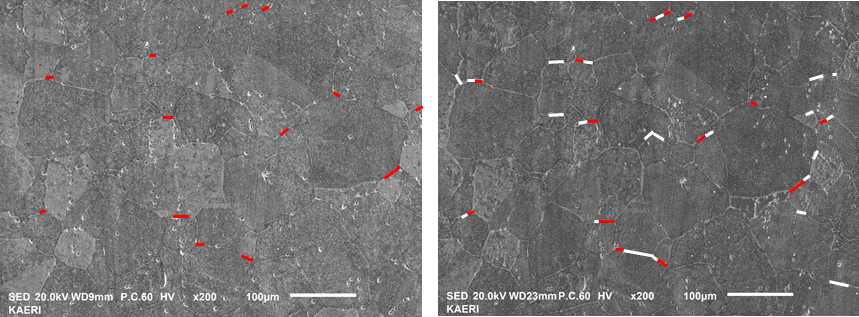 Observed SCC distribution created by slow strain test to (left) 5% and (right) 10% strained state. (red line: observed cracks after 5% strain test, white line: additionally observed cracks after 10% strain test)