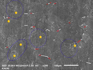 SEM image marked as SCCs and peak points of equivalent strain value