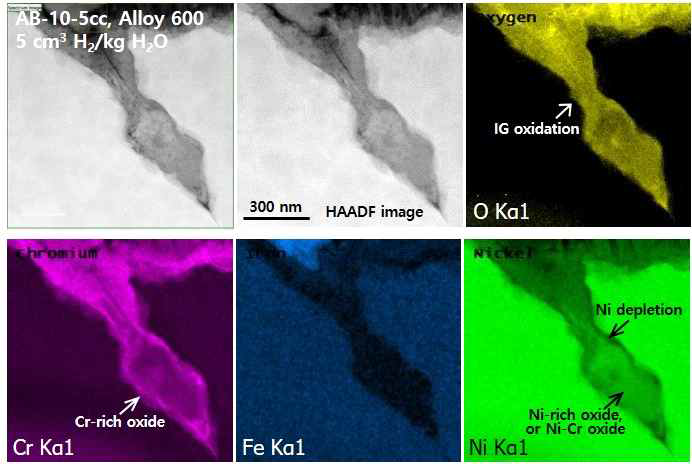 TEM/EELS results of oxygen and main elements obtained from the surface grain boundary of Alloy 600 at a hydrogen concentration of 5 cc H2/kg H2O