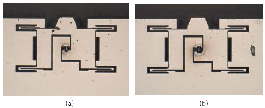 Optical images of PTP devices and the specimens including (a) surface grain boundary, (b) internal grain boundary