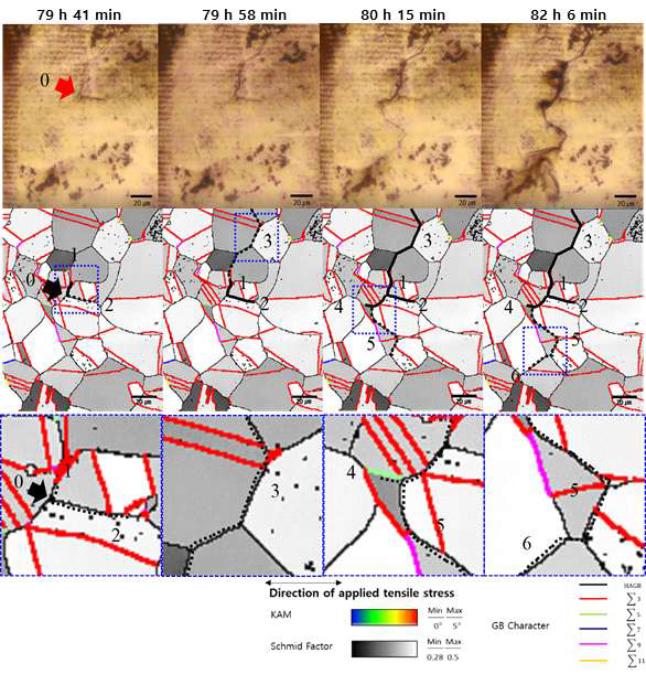 Sequence of cracks from in-situ microscope and corresponding Schmid factor map from EBSD