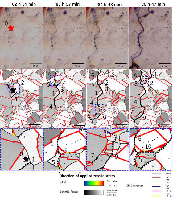 Sequence of cracks from in-situ microscope and corresponding Schmid factor map from EBSD