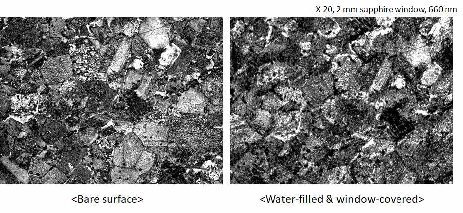 Optimized LSCM images on the Ni specimen surface (a) without and (b) with the use of window and water-filled chamber