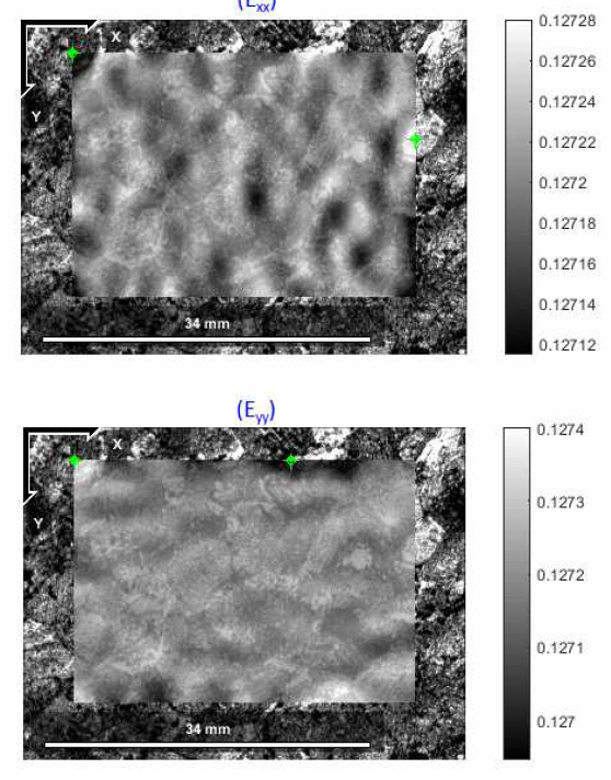 Green-Lagrangian strain distribution overlapped on the optimized LSCM image of Ni specimen surface in the water-filled chamber covered with sapphire window