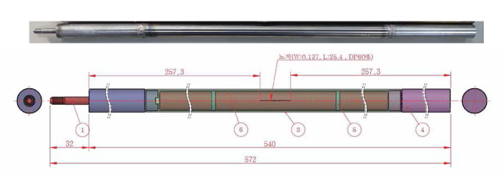 Specimen for SG tube rupture test