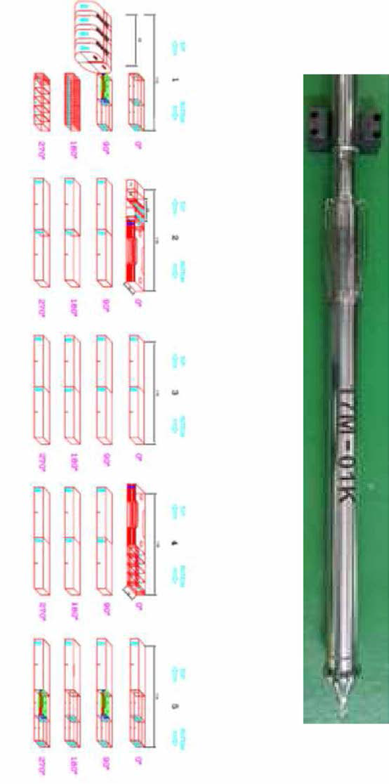 Specimen arrangement layout and final product of capsule