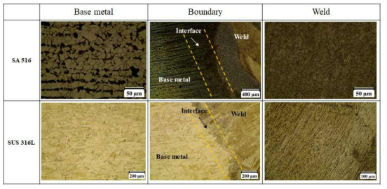 SA 516과 SUS 316L의 미세조직 분석 결과