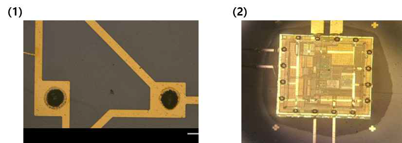 (1) LED를 집적시키기 위한 유연 전극 위 silver epoxy bump 형성.(2) Chip의 전극 상 bump를 형성 시킨 이미지