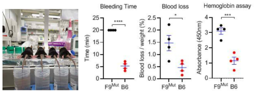 F9 knock out mouse에 대한 bleeding assay