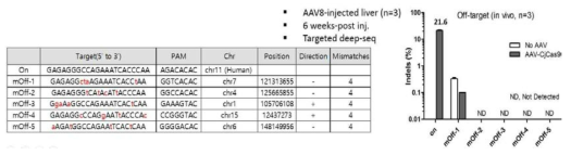 APOC3-Cj의 in vivo off-target 결과