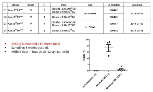 Adult 및 Neonatal F9 mutant-humanized mouse에서의 in vivo editing 결과