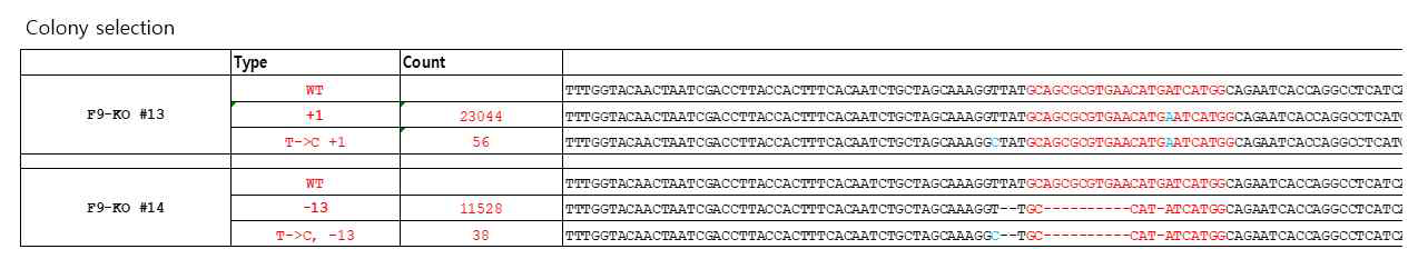 Factor 9 knockout iPSC 세포주 확보