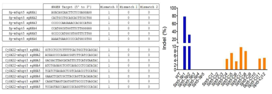 Mouse Spt5의 타겟 SpCas9/CjCas9 유전자가위 서열 및 활성결과