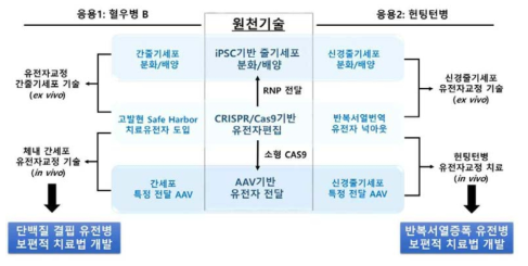 보유 원천 기술 및 치료 기술 개발 개념도