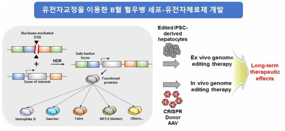 간 Safe Harbor를 이용한 유전체교정 유전질병 치료제 개념도