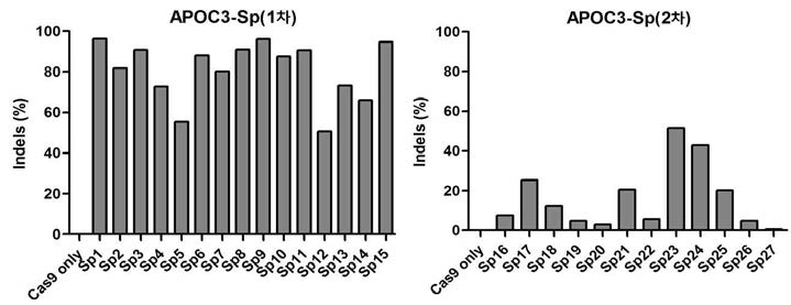 APOC3-intron 1을 타겟하는 Sp-sgRNA 추가 스크리닝 결과의 예