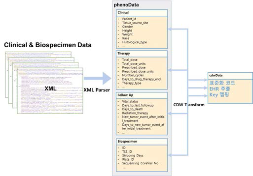공개데이터(TCGA)-CDW 간 통합형 데이터 맵핑 및 표준화