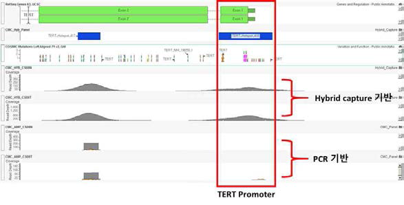 PCR 및 hibrid capture 기반 패널 타겟 시퀀싱 데이터 (TERT)