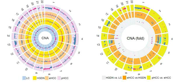 간암발생의 각 단계별 CNVs 차이