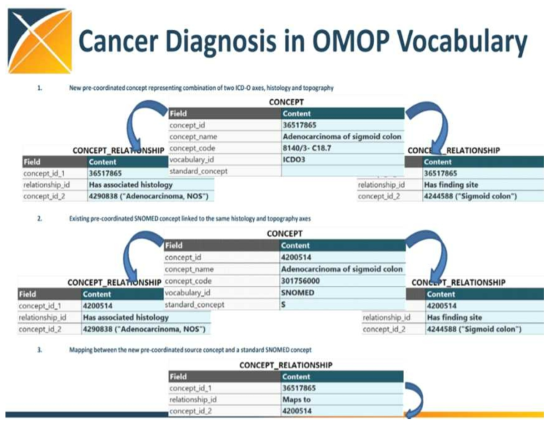 Cancer Diagnosis in OMOP Vocabulary