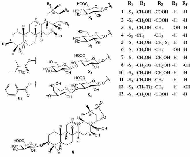 Chemical structures of the 13 compounds isolated from Gymnema sylvestre